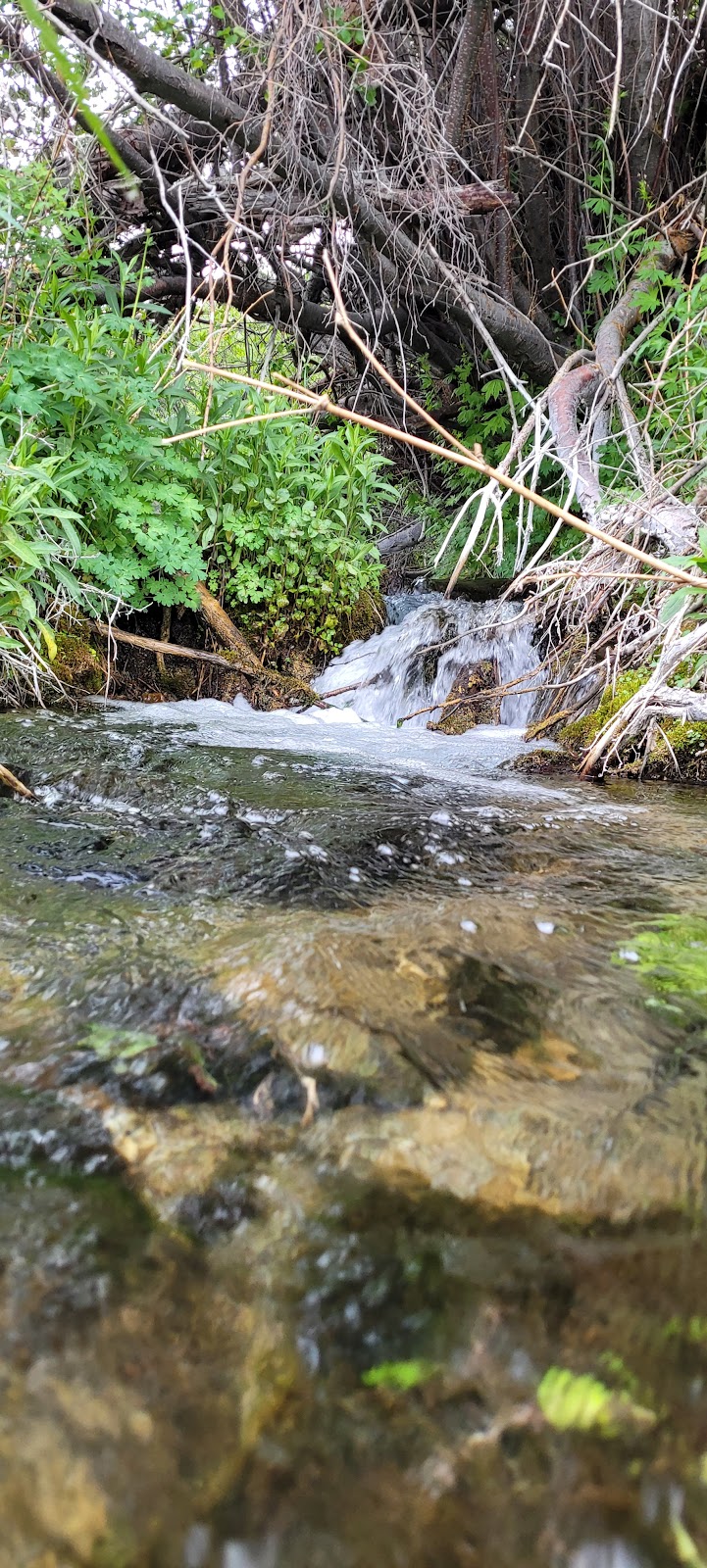 Timber Creek Campground