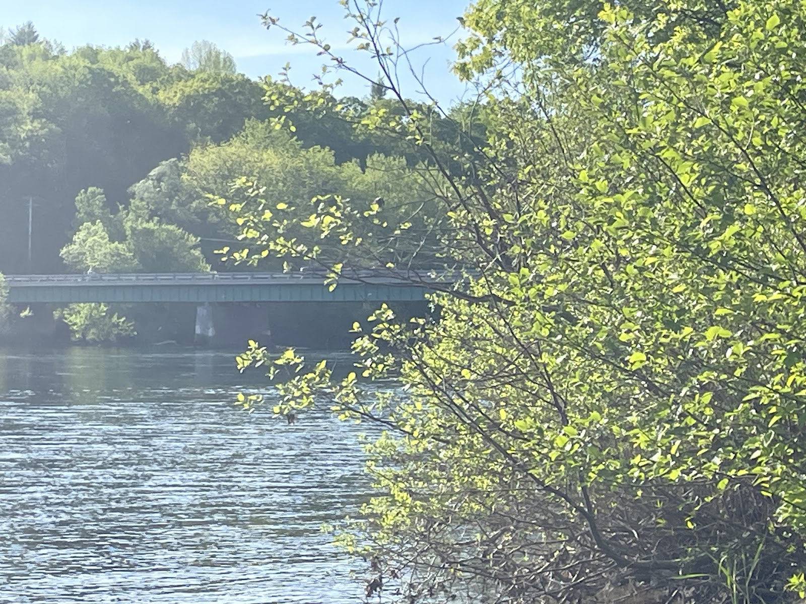 Evergreens Campground & Restaurant