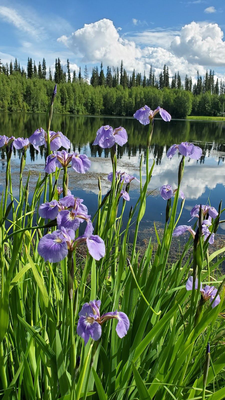 Red Squirrel Campground
