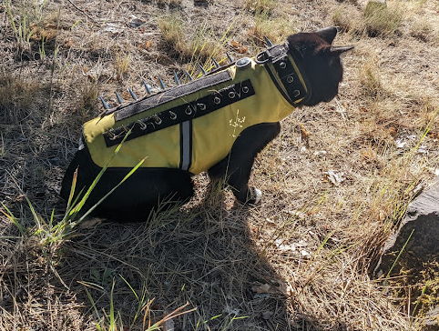 Jackson Campground On The Applegate River