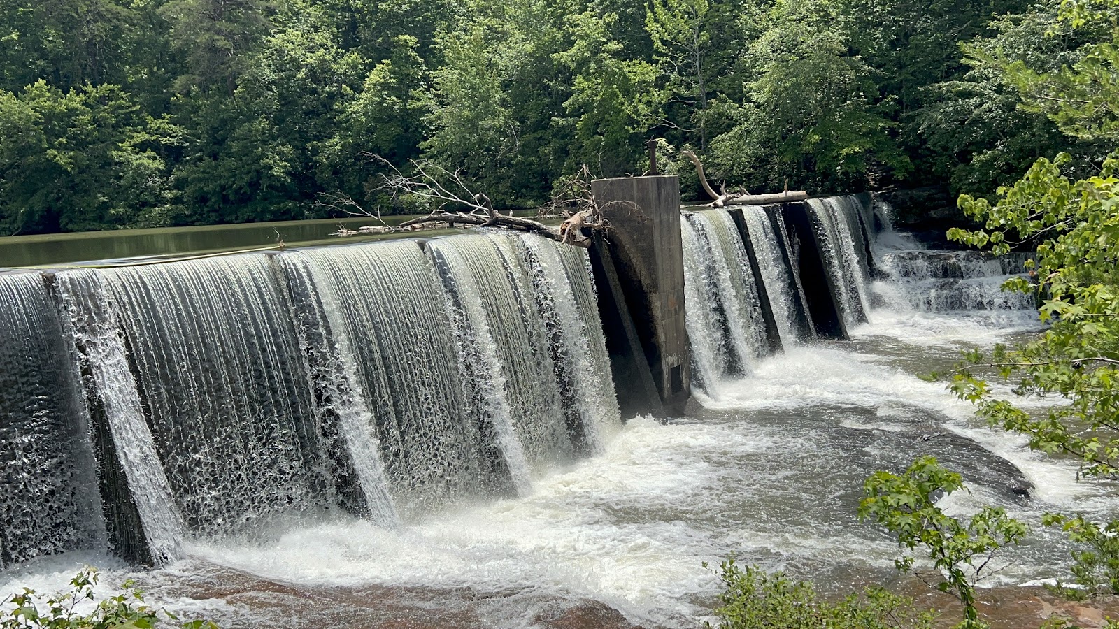 Main - DeSoto State Park