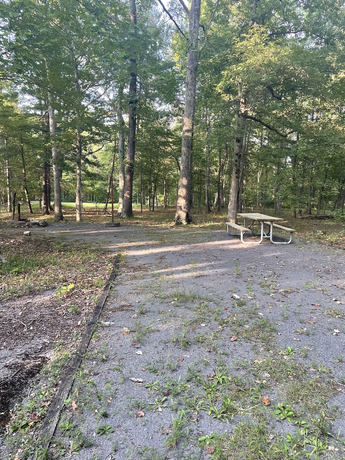 Camp Roosevelt Recreation Area