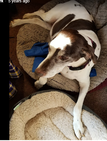 West Point Campgrounds