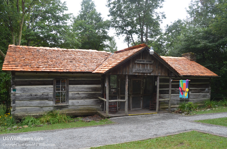 Hickory Lane Campground