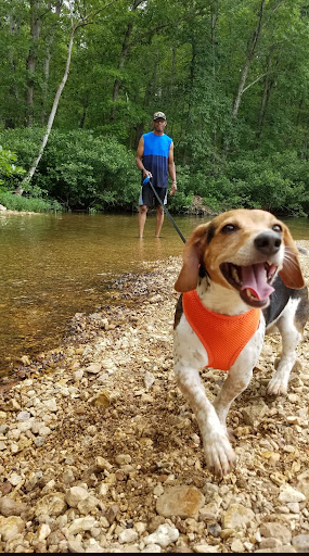 Eminence Cottages & Camp