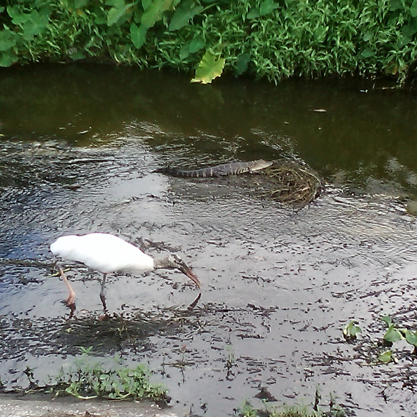 Woodall's 55+ Mobile Home Village & RV Park