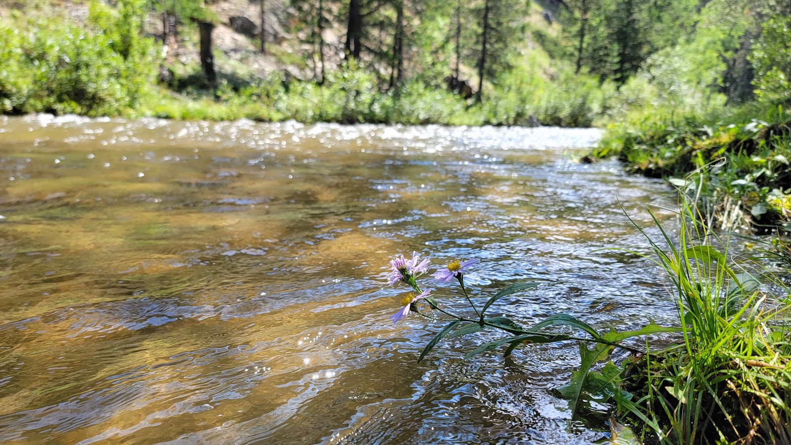 Little Goose Campground