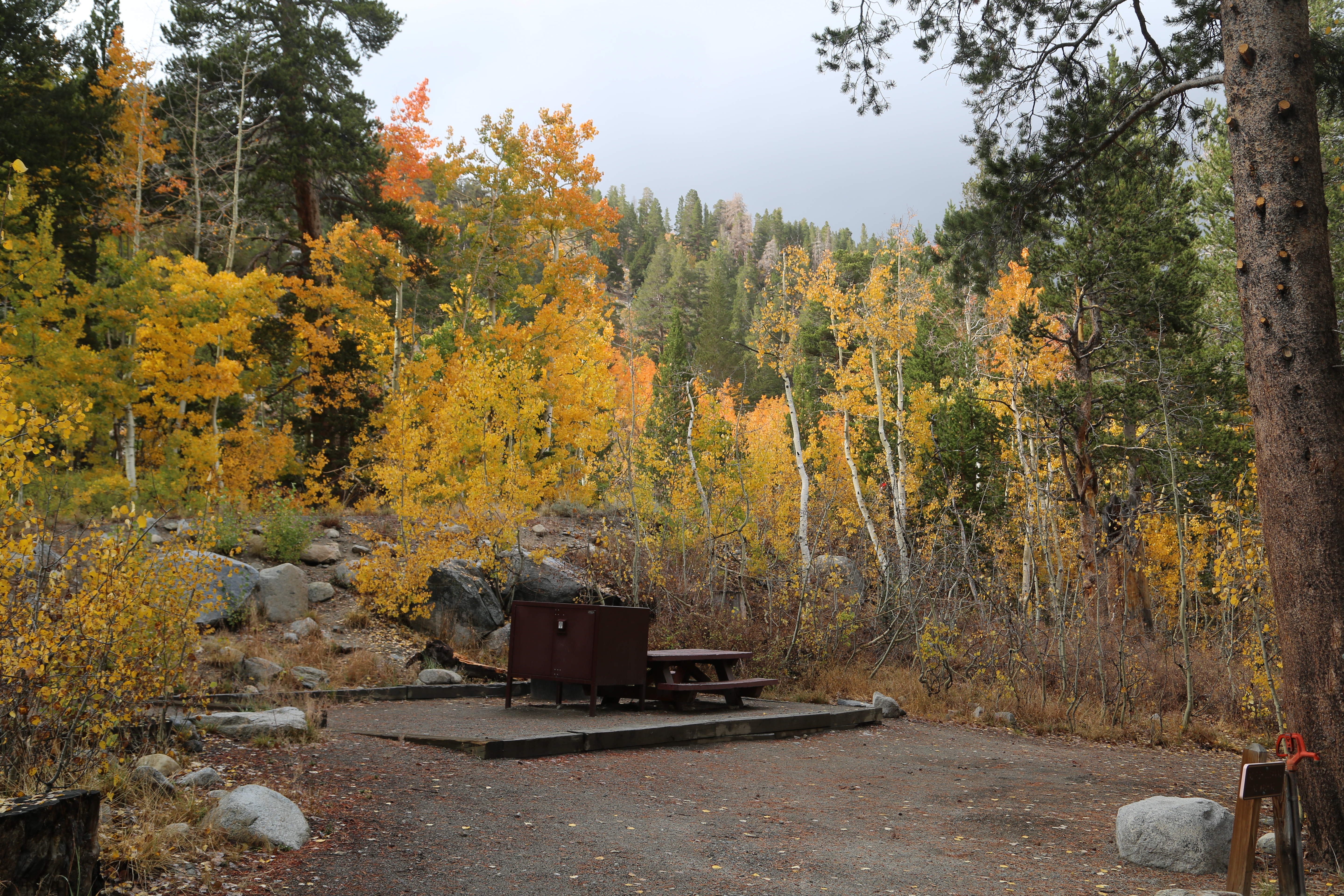 Pine Grove Campground