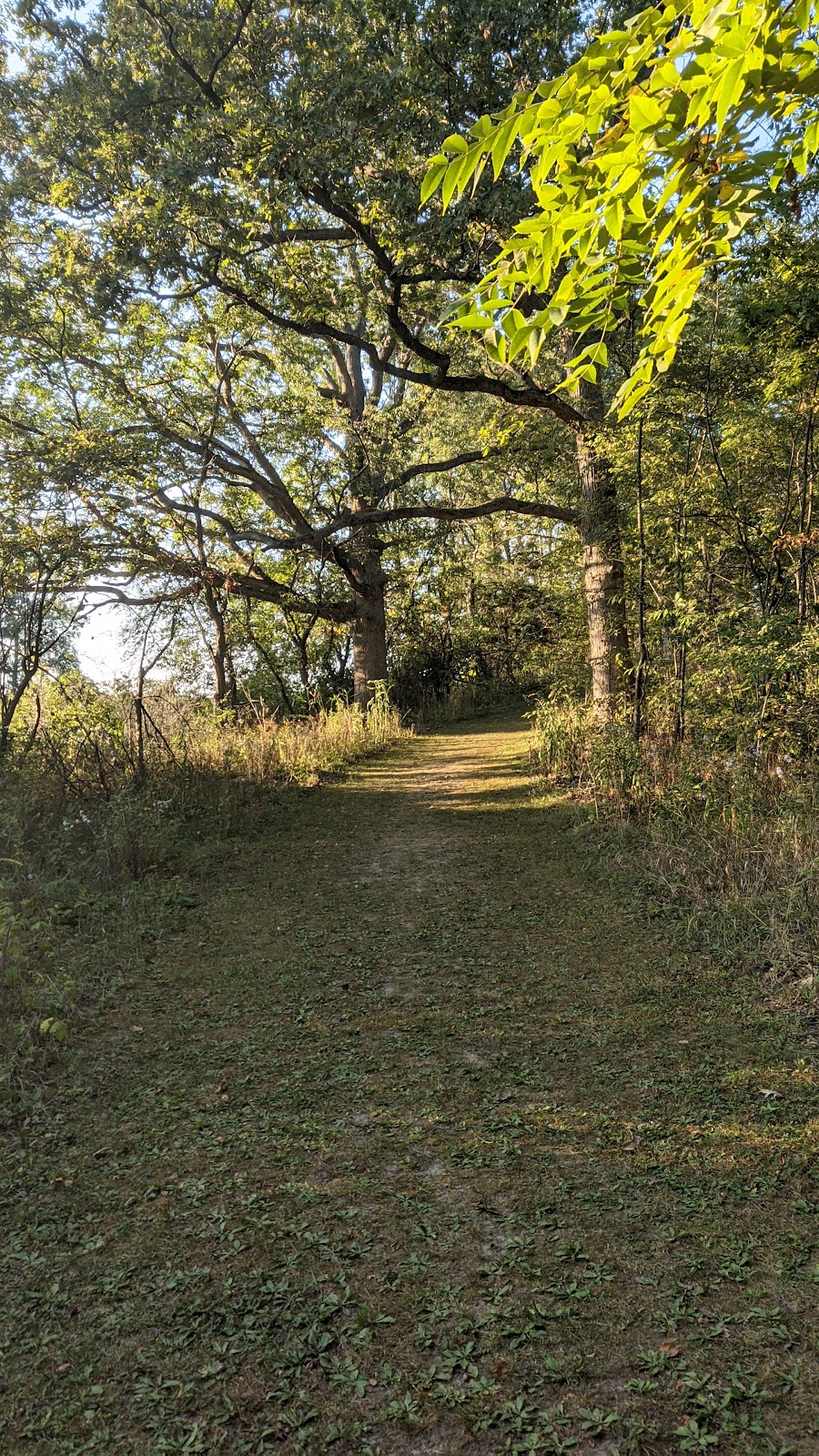 Thomas Woods Campground