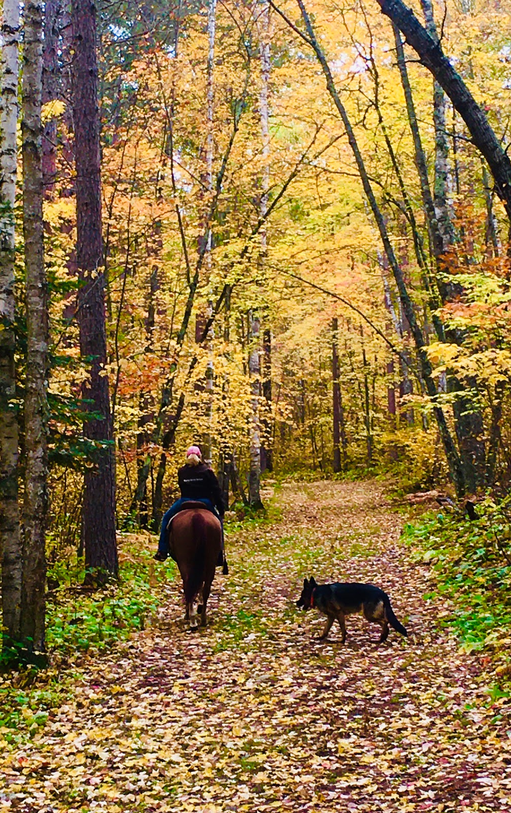 Stony Brook Horse Campground