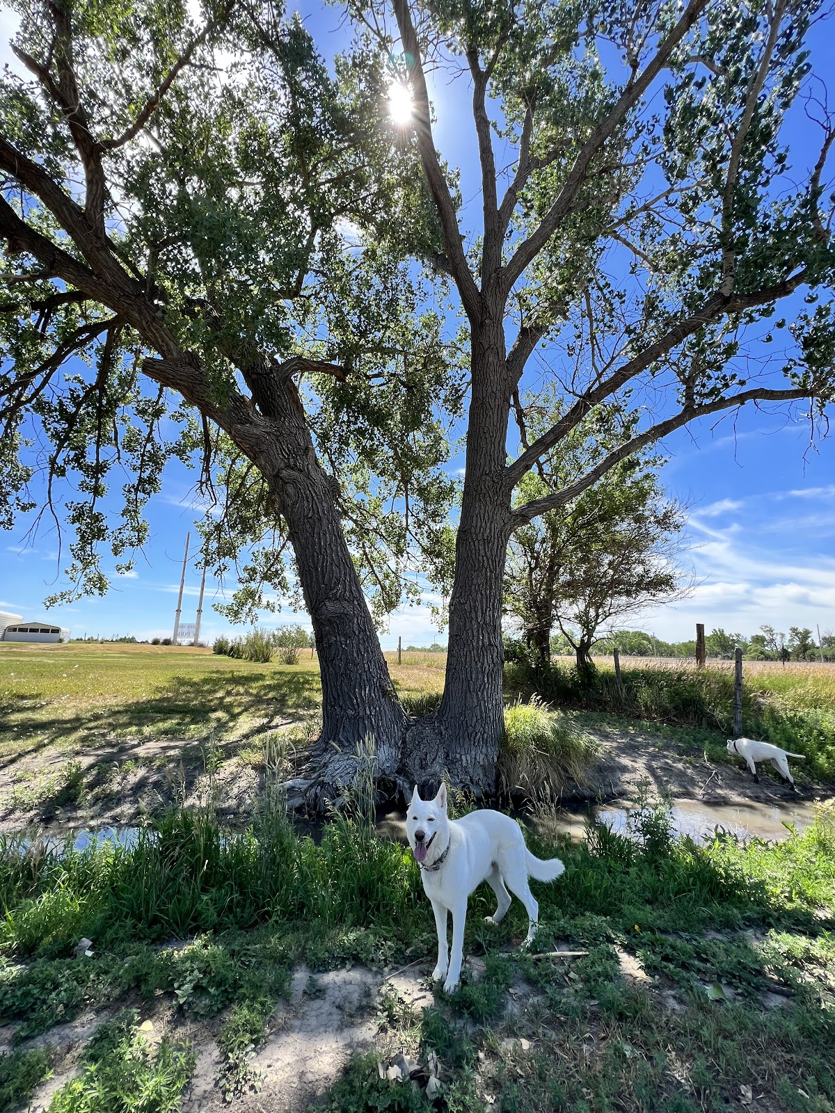 Creekside RV Park and Campground