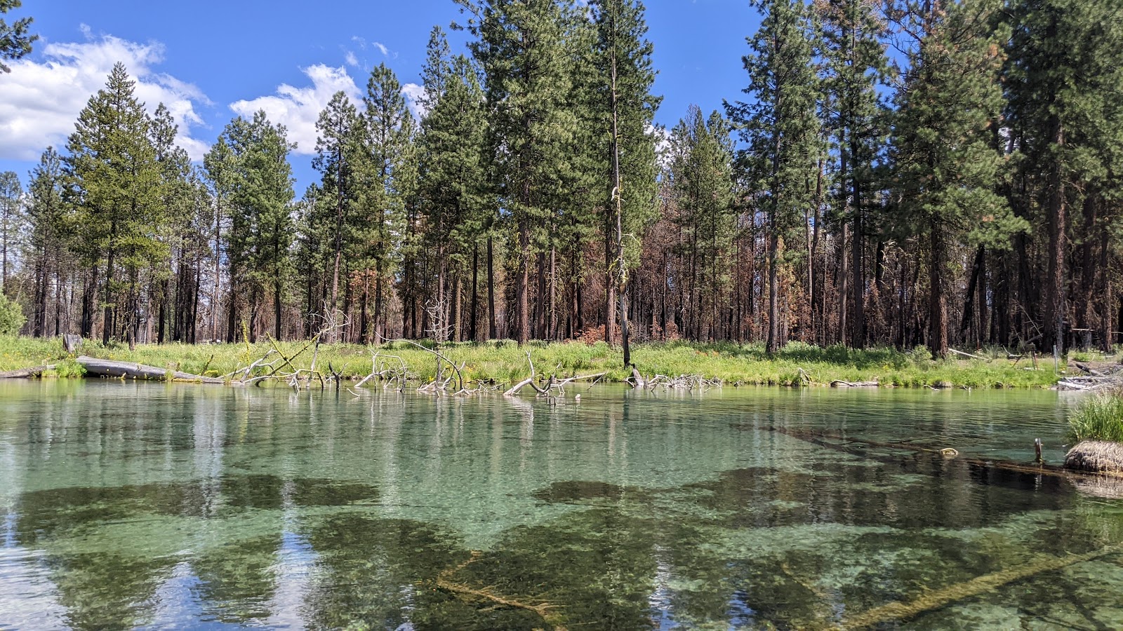Collier Memorial State Park