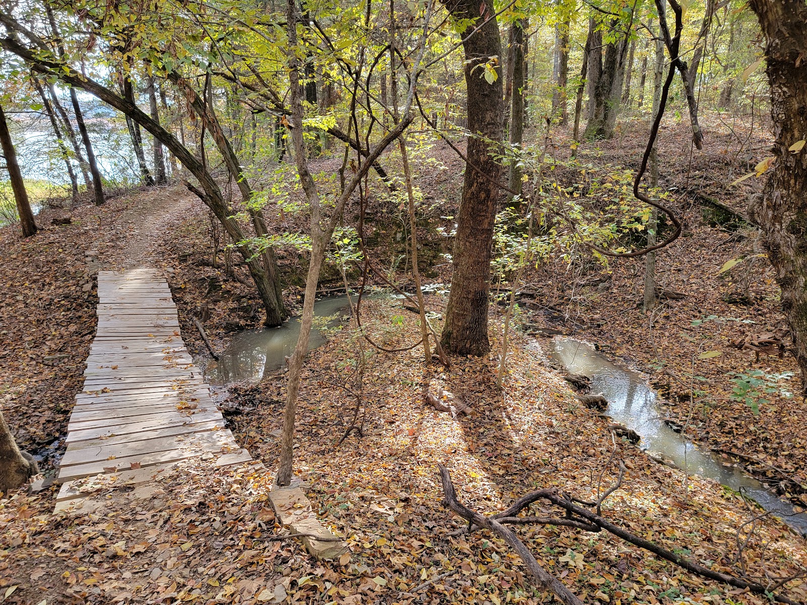 Ouita Coal Company Trail