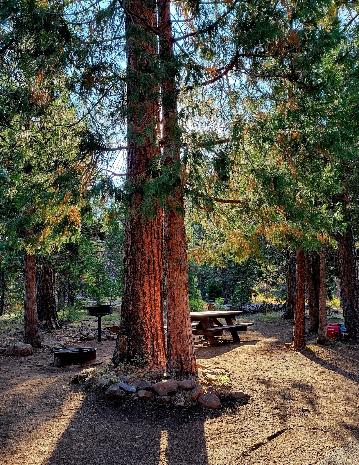 Juanita Lake Campground