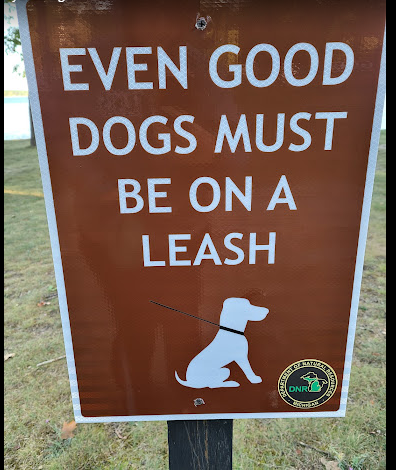 South Higgins Lake State Park