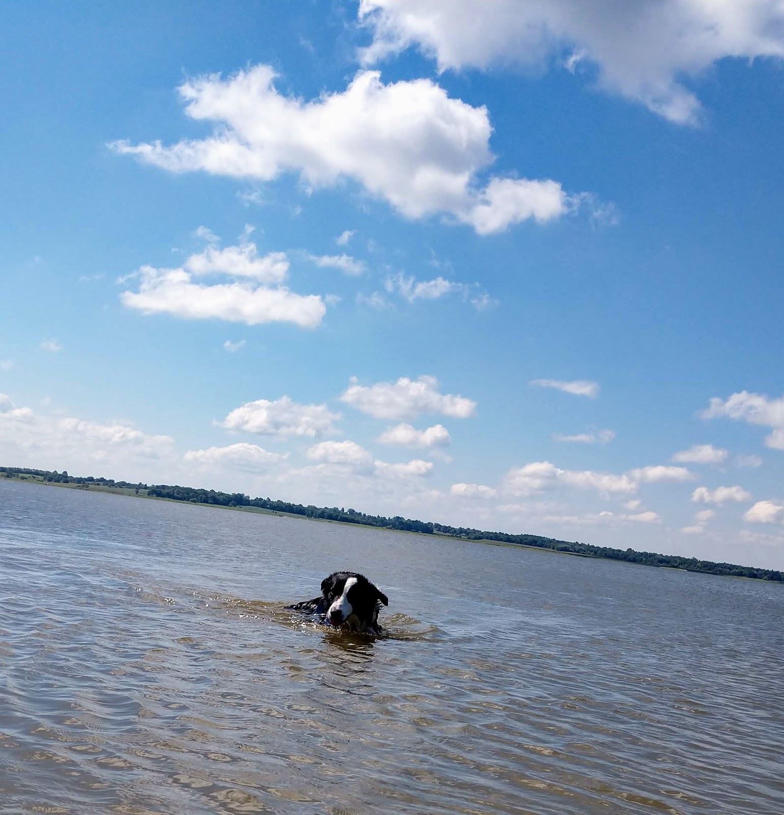 Bridgeview (Rathbun Lake)