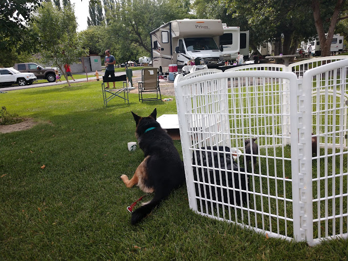 Oasis RV Park & Golf Course