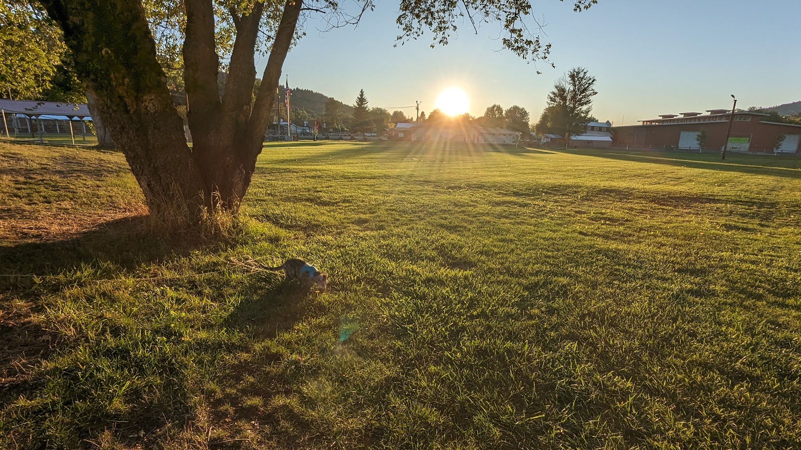 Canyon Meadows Campground