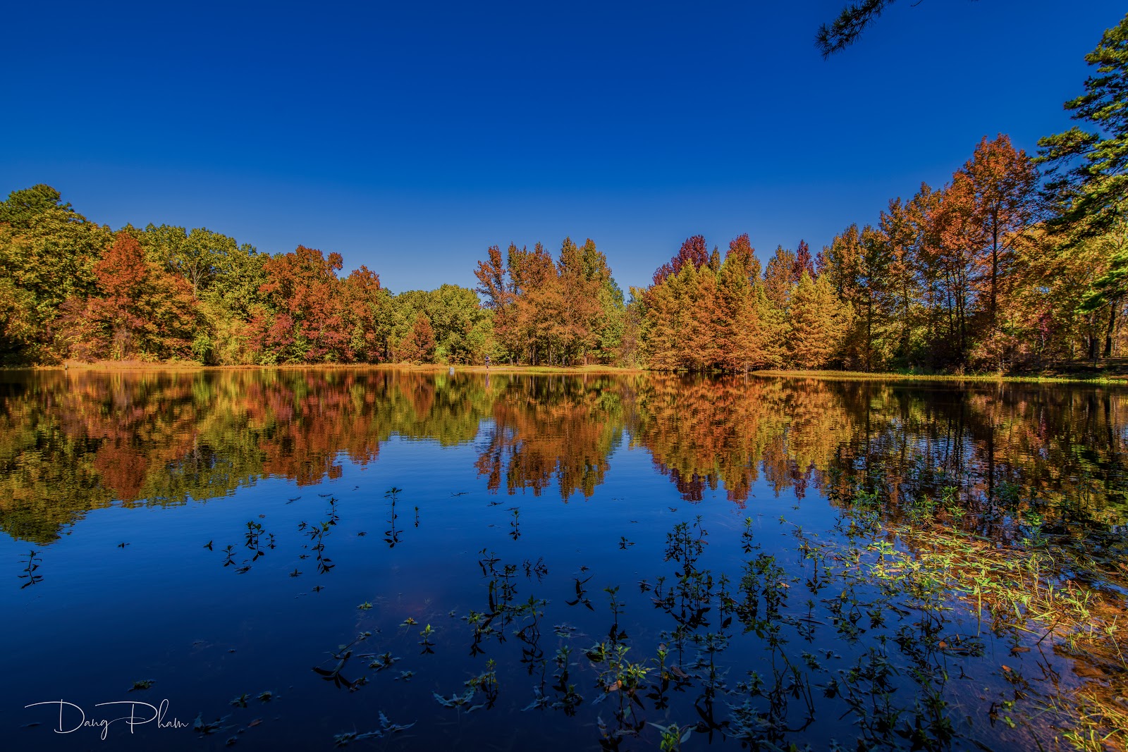 Moccasin Track/Broken Bow - Lake Bob Sandlin State Park