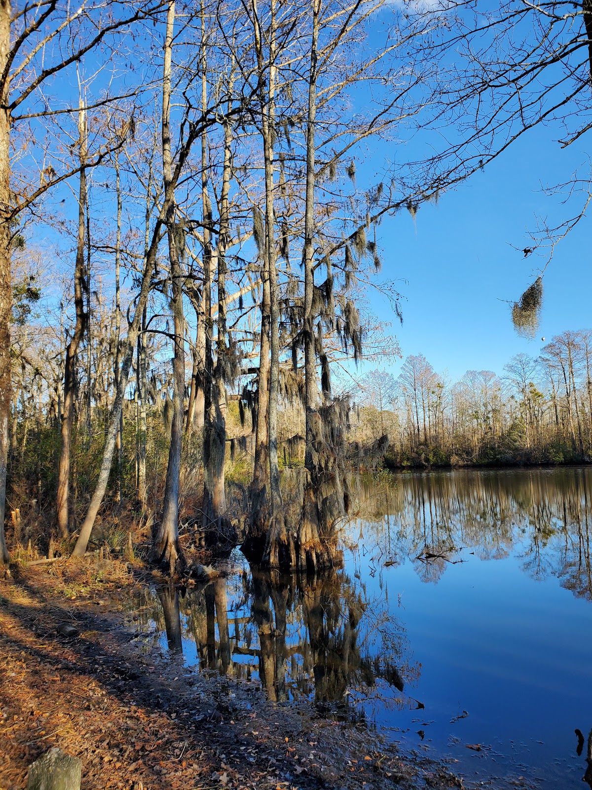 Tranter's Creek Resort-Campground