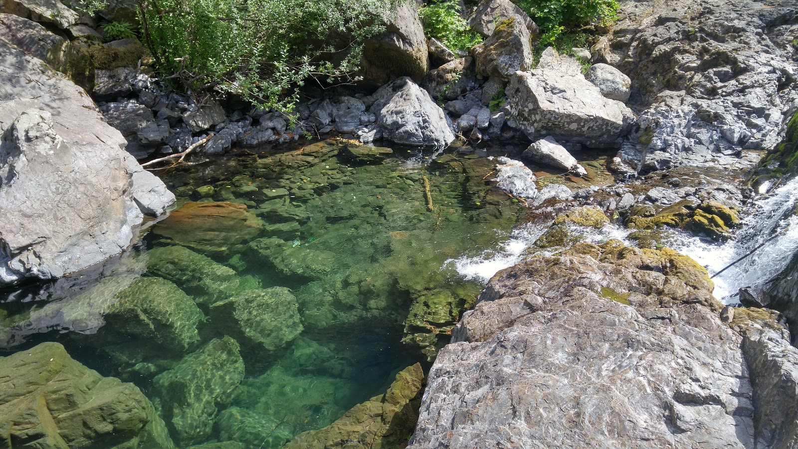 Canyon Creek Campground
