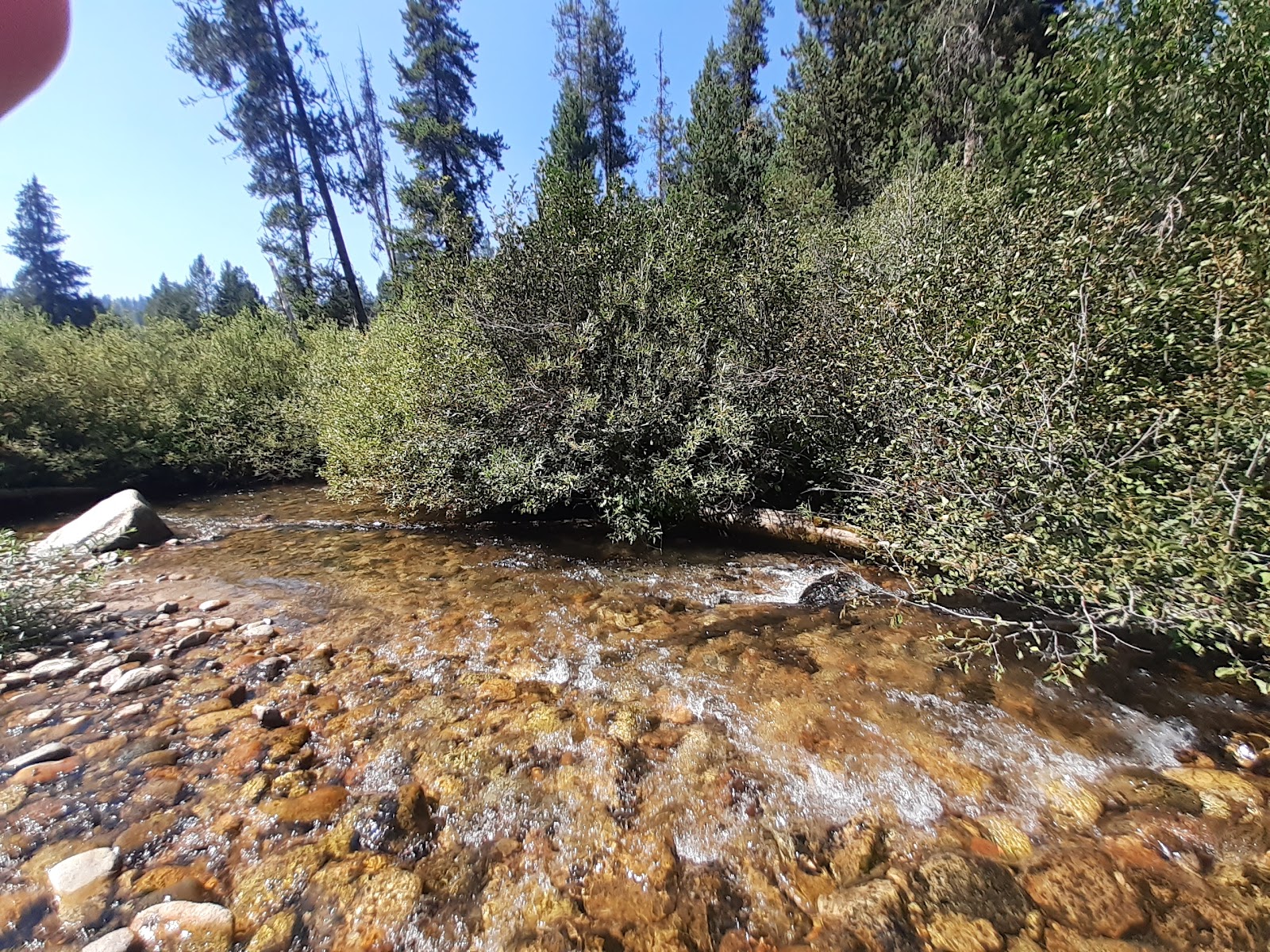 Willow Creek Campground