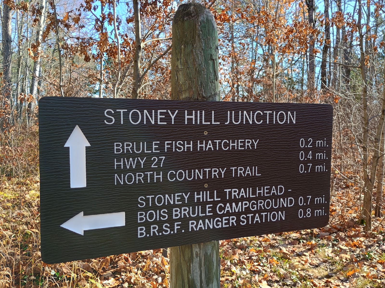 Brule River State Forest