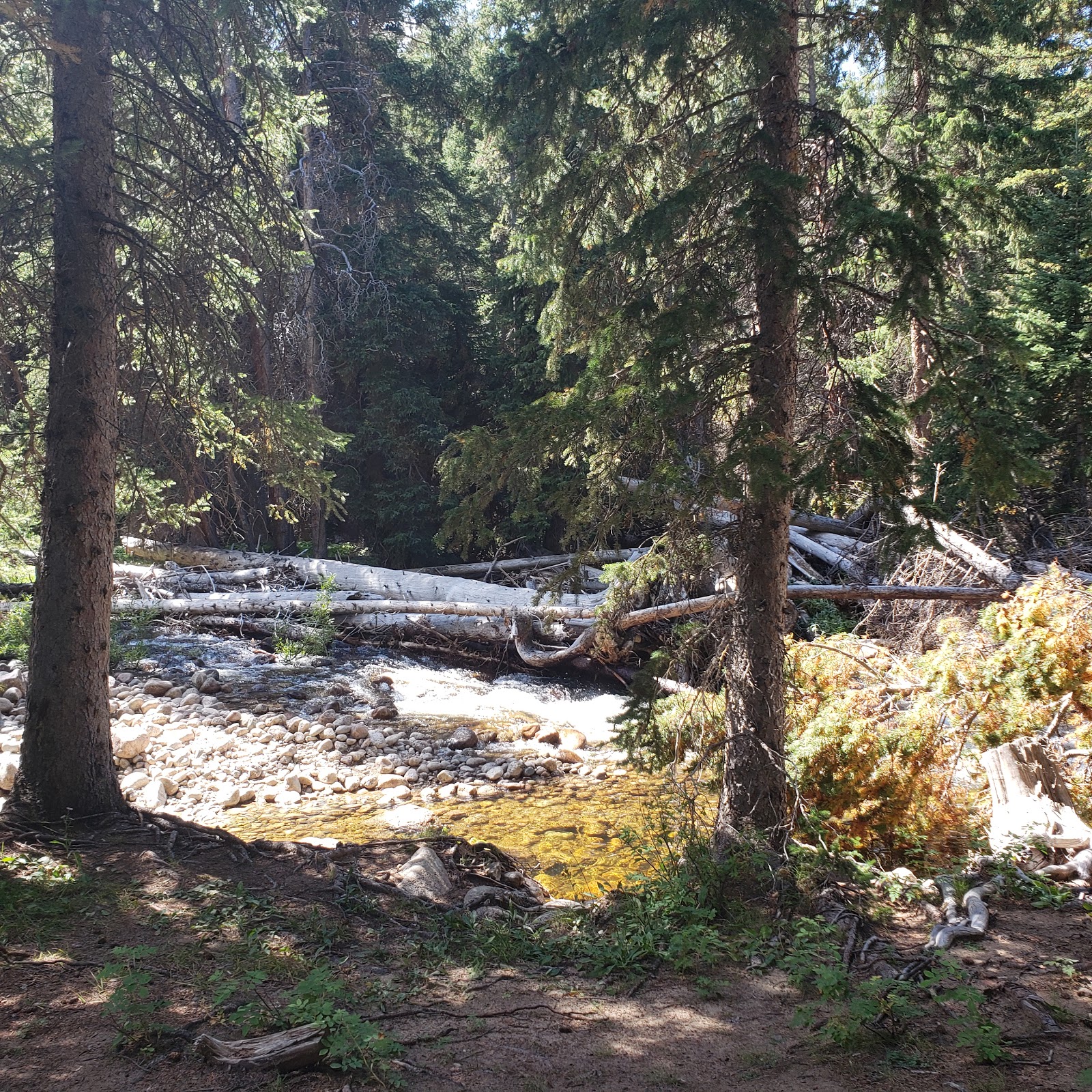 Shell Creek Campground