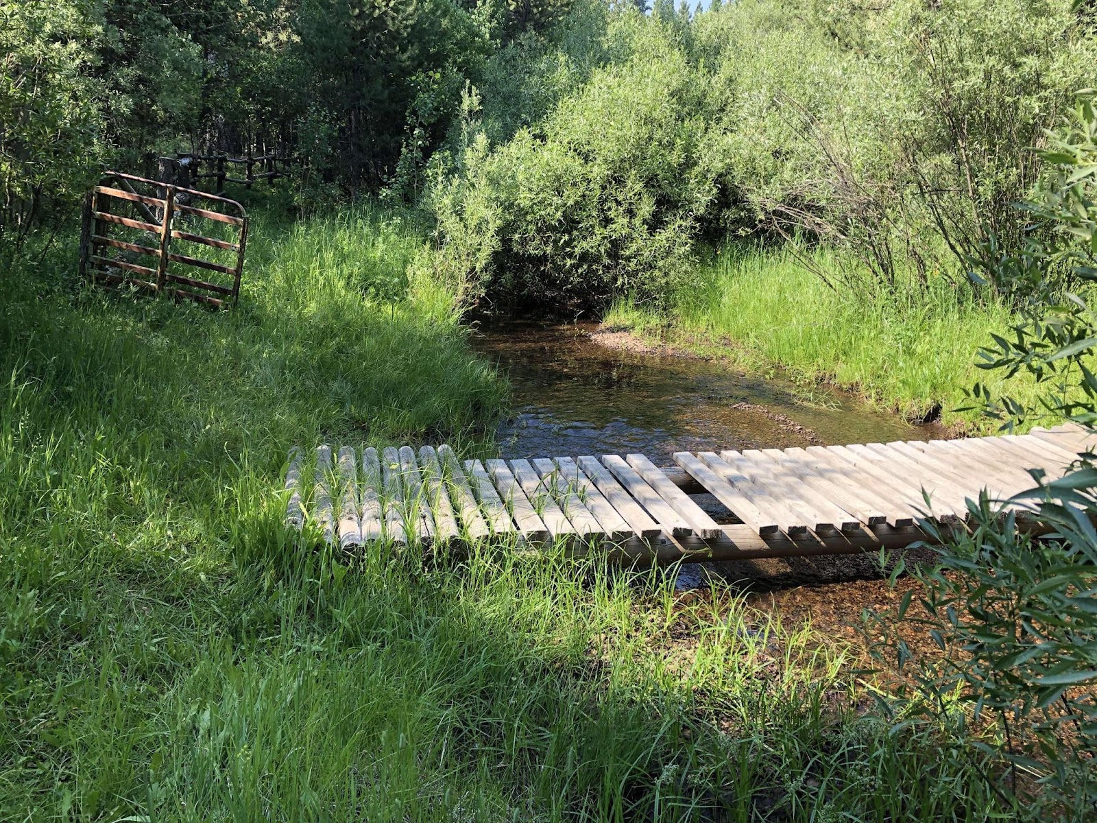 Willow Creek Campground