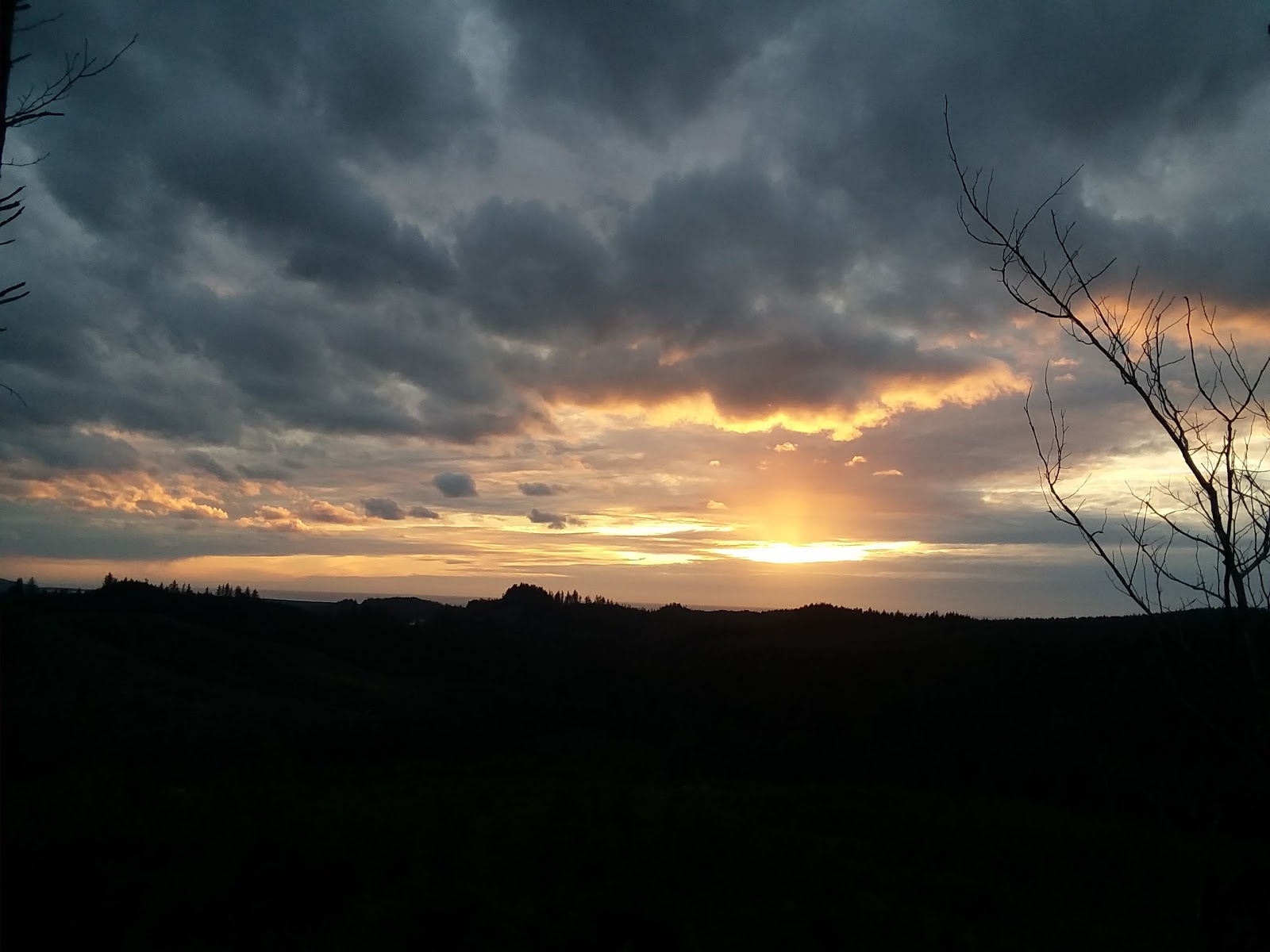 Salmon Harbor RV Park