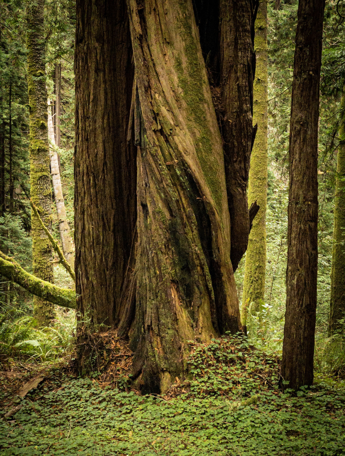 Stillwater Cove Regional Park