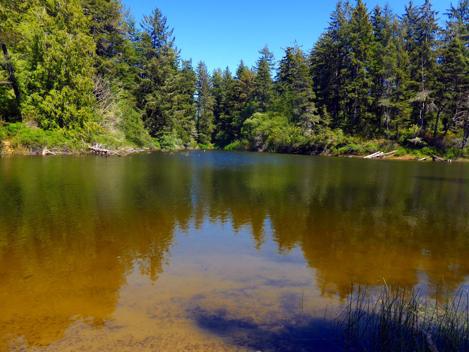 Alder Dune Campground
