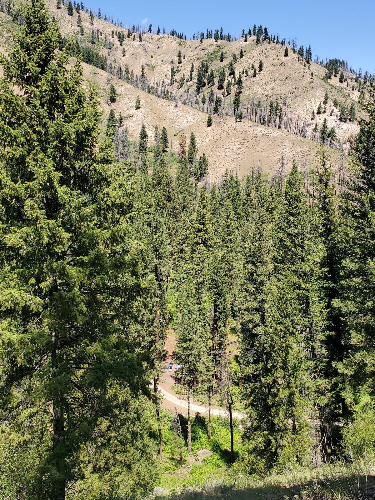 Dog Creek Campground