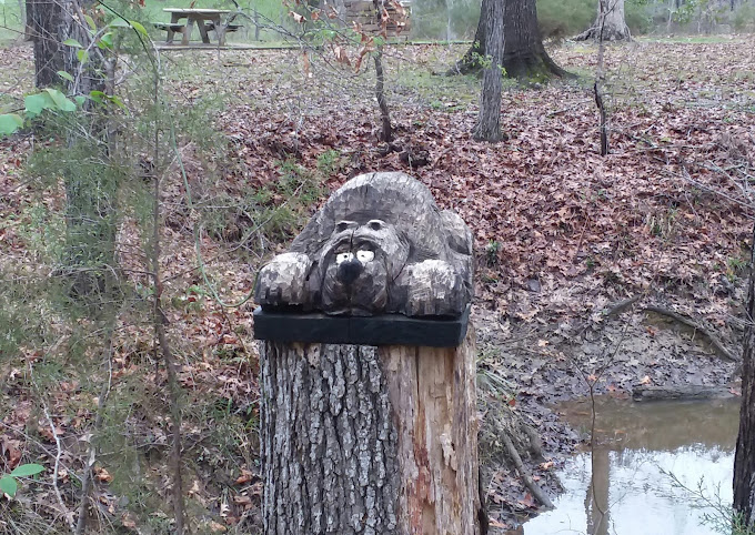 Foscue Creek Camping