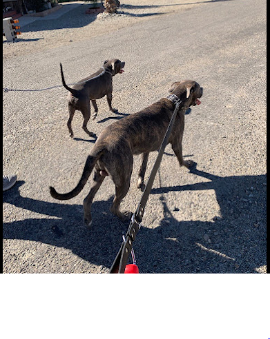 Glamis North Hot Springs Resort