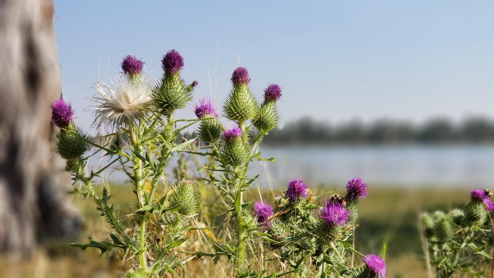 Reservoir C Campground
