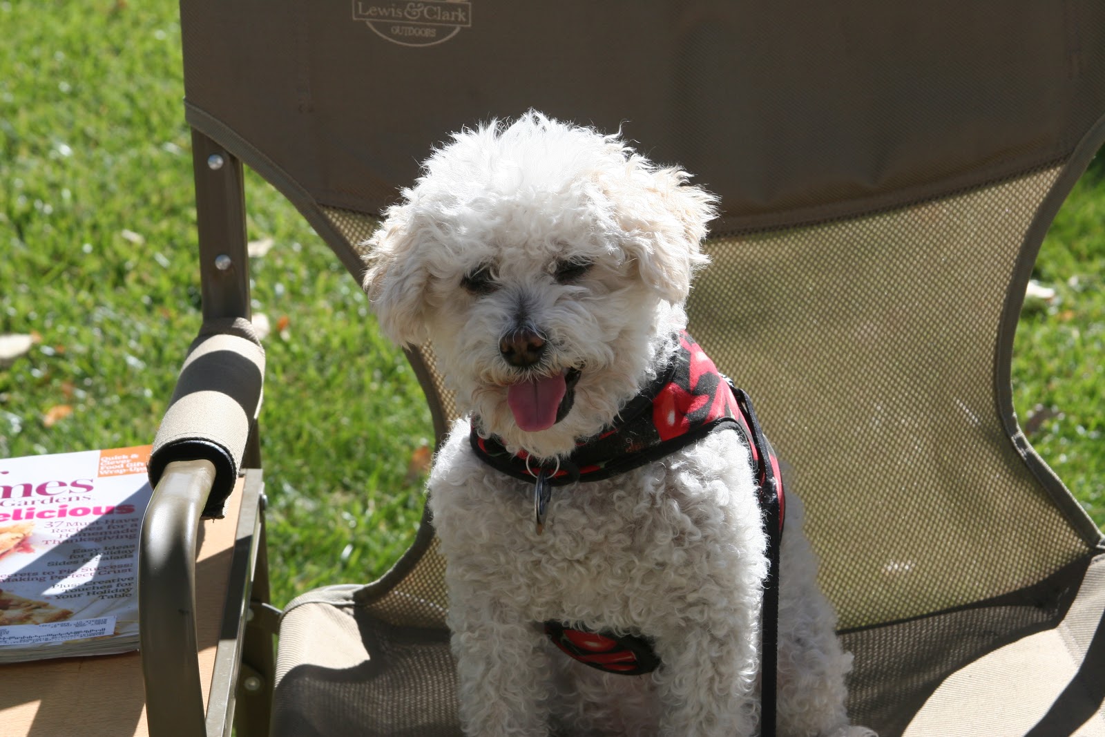 KOA Journey Fillmore