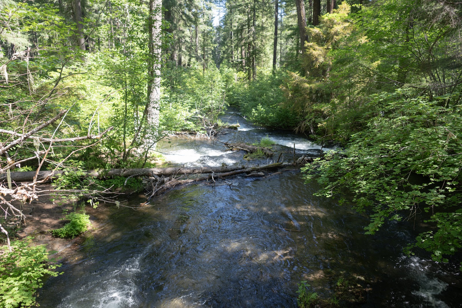 Union Creek Campground