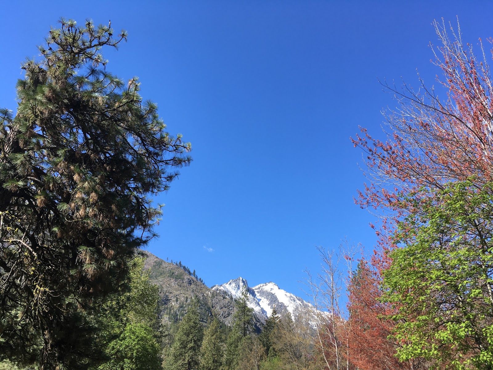 Icicle River RV Park