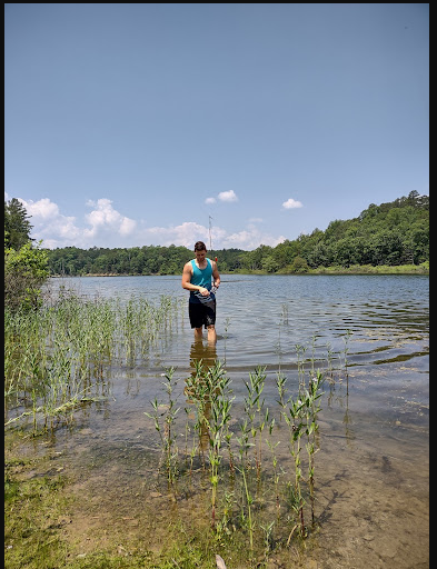 Cedar Fourche Landing