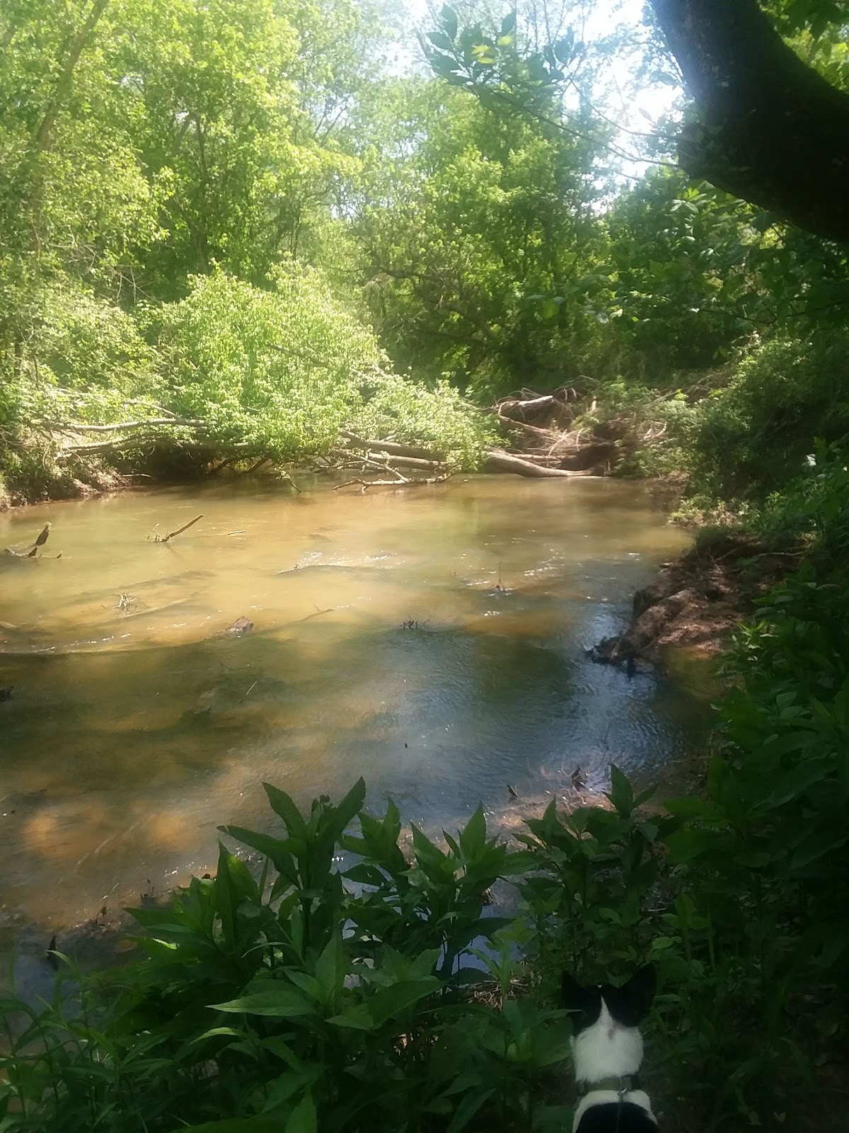 Cane 9 Creek RV Park