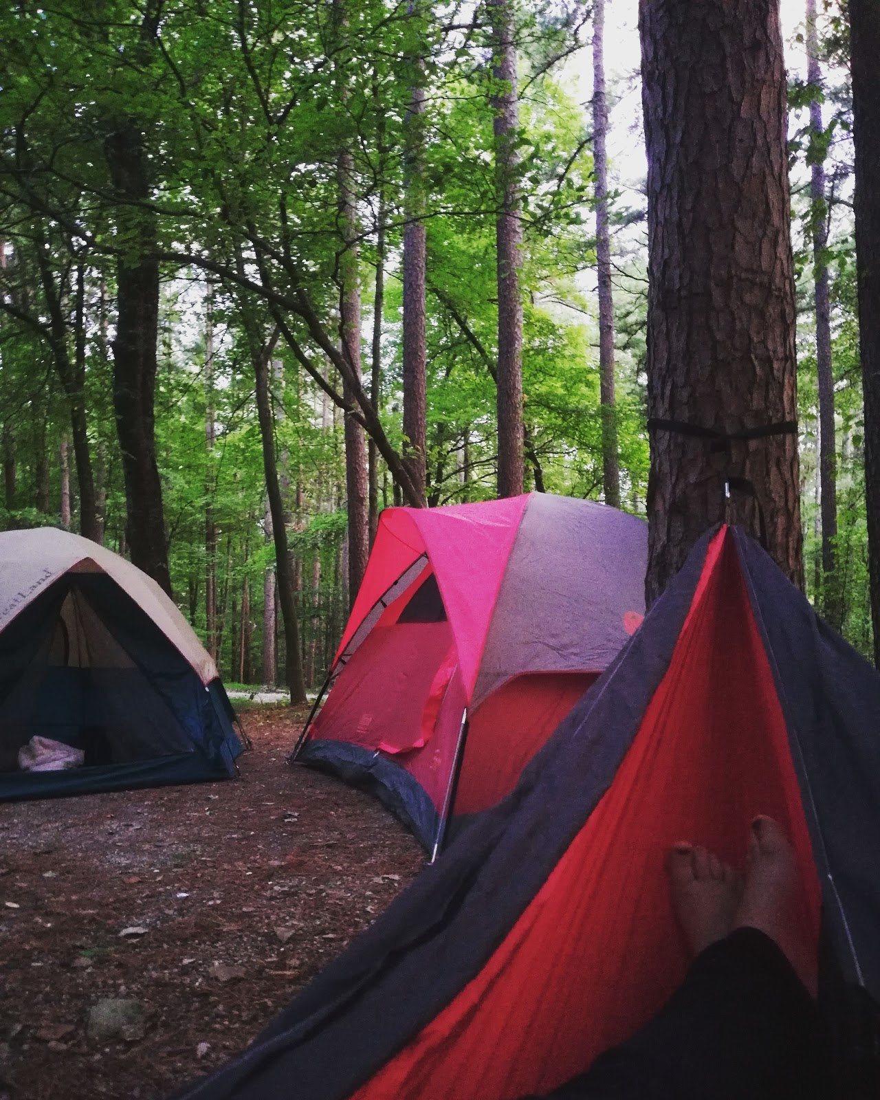 Saddle Lake Rec Area