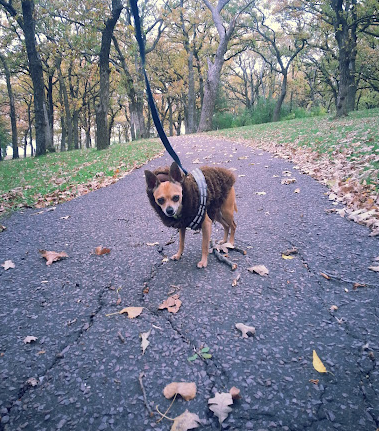 Lake Hanska County Park