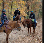 Whispering Pines Campground & Horse Park
