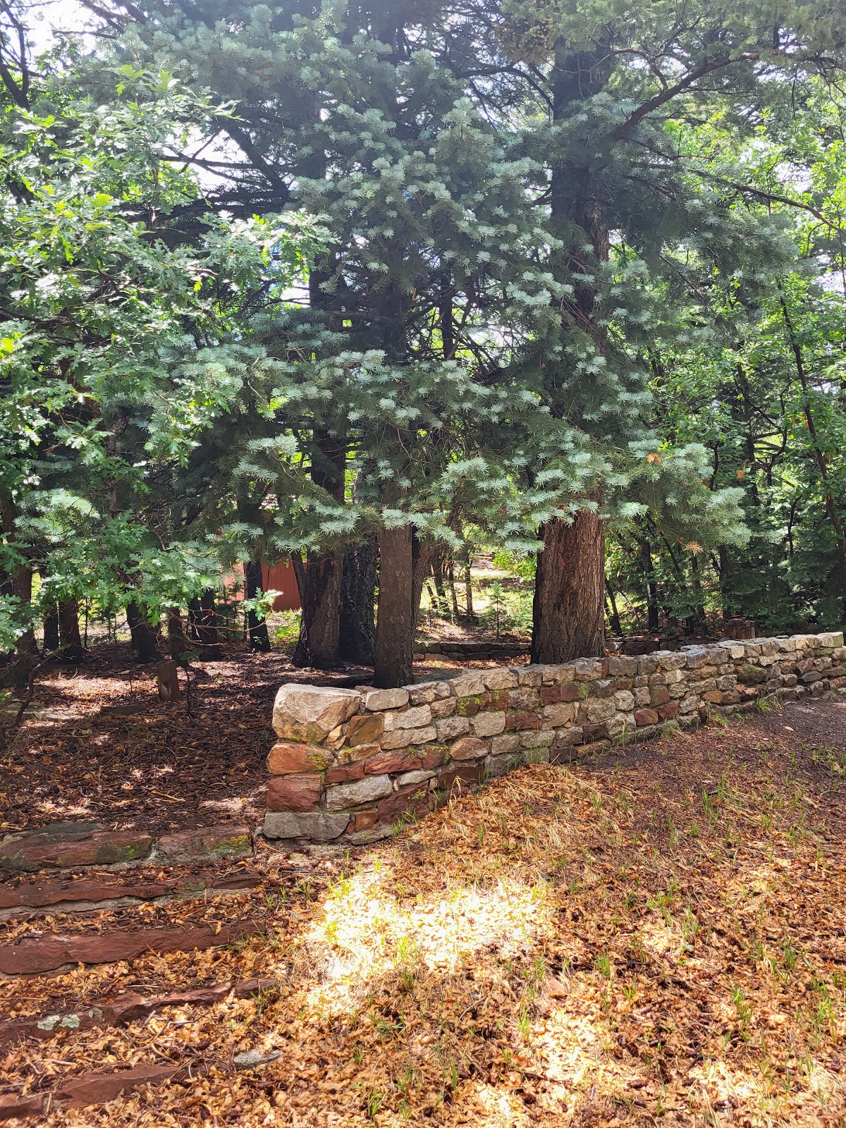 New Canyon Campground