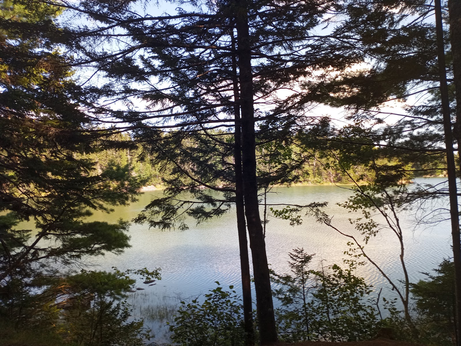 Cobscook Bay State Park Campground
