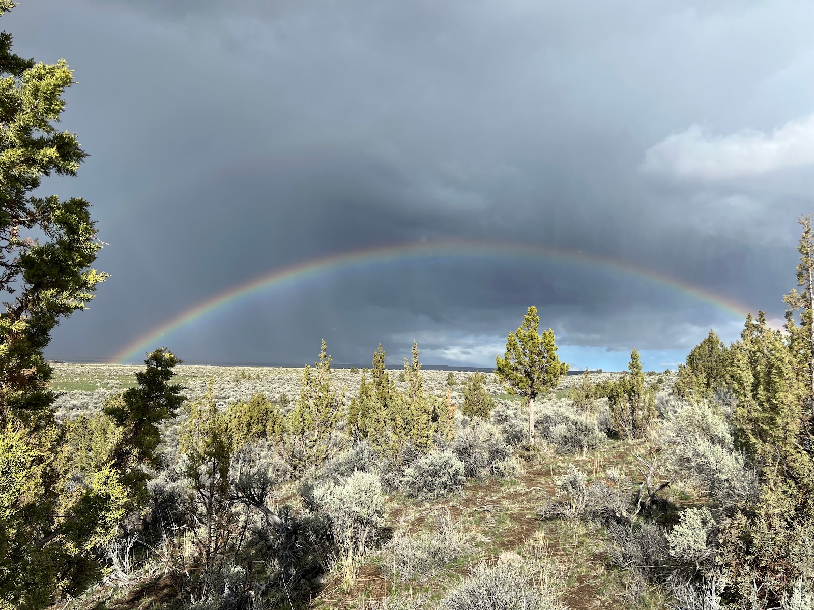 Page Springs Campground