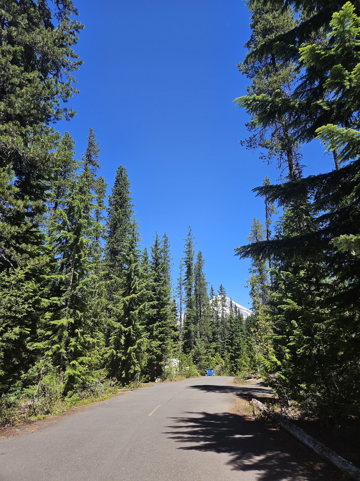 Trillium Lake Campground