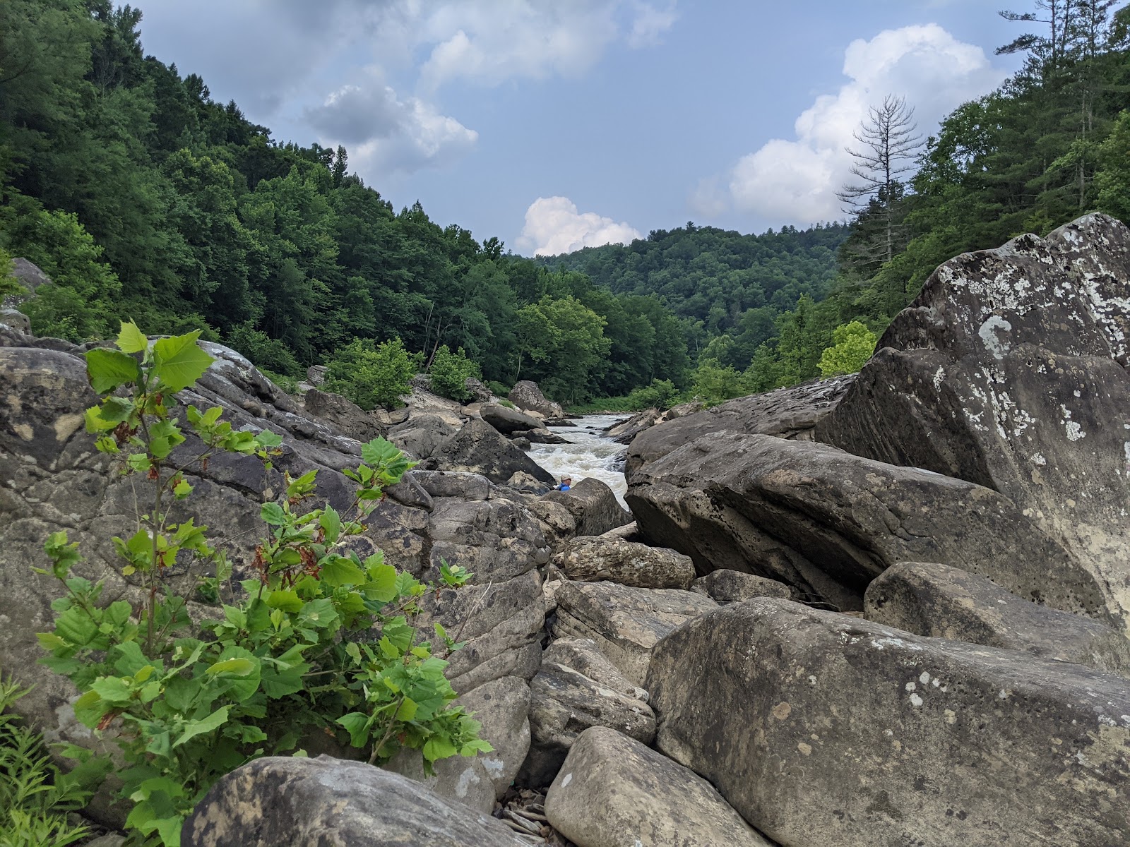 Bandy Creek Campground