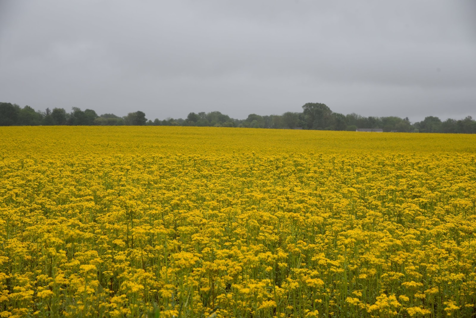 Beth-Mar RV & Mobile Home Park